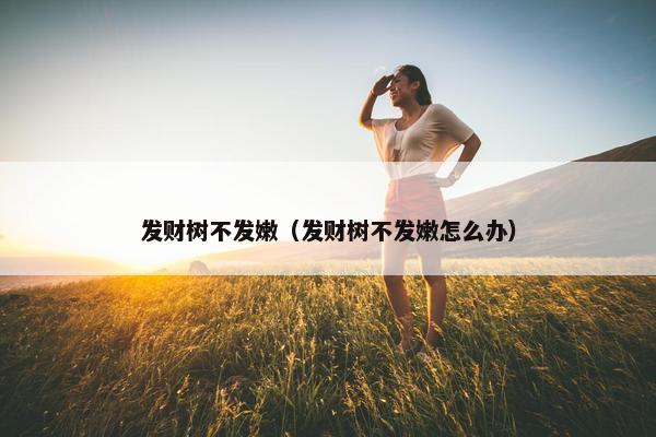 发财树不发嫩（发财树不发嫩怎么办）