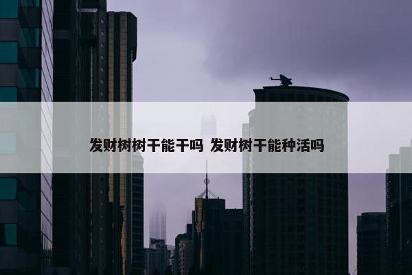 发财树树干能干吗 发财树干能种活吗