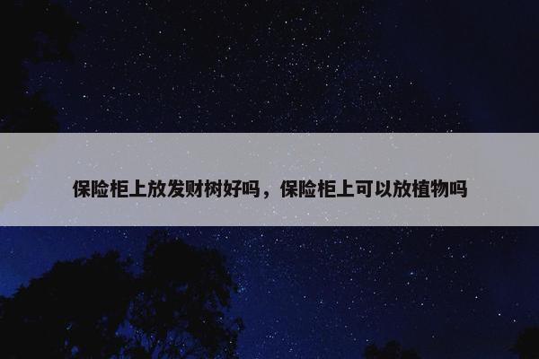 保险柜上放发财树好吗，保险柜上可以放植物吗