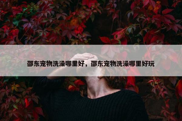 邵东宠物洗澡哪里好，邵东宠物洗澡哪里好玩