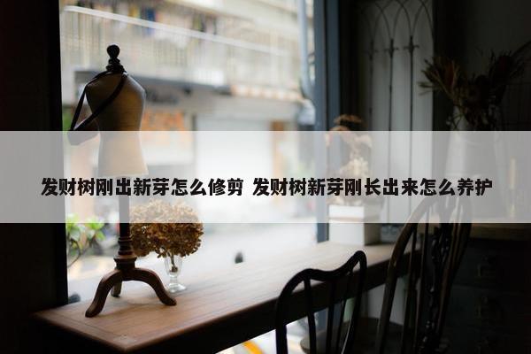 发财树刚出新芽怎么修剪 发财树新芽刚长出来怎么养护