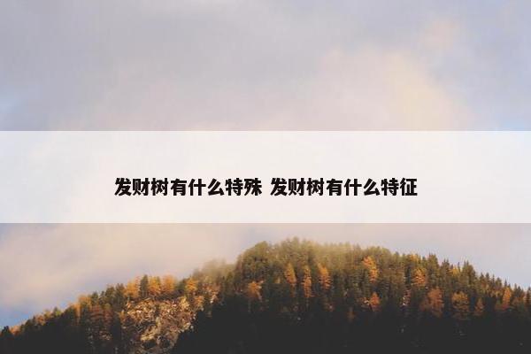 发财树有什么特殊 发财树有什么特征