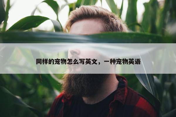 同样的宠物怎么写英文，一种宠物英语