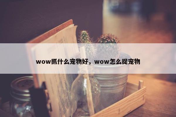 wow抓什么宠物好，wow怎么捉宠物