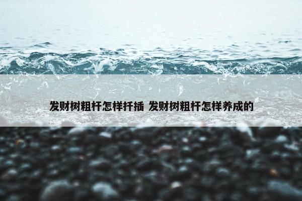 发财树粗杆怎样扦插 发财树粗杆怎样养成的