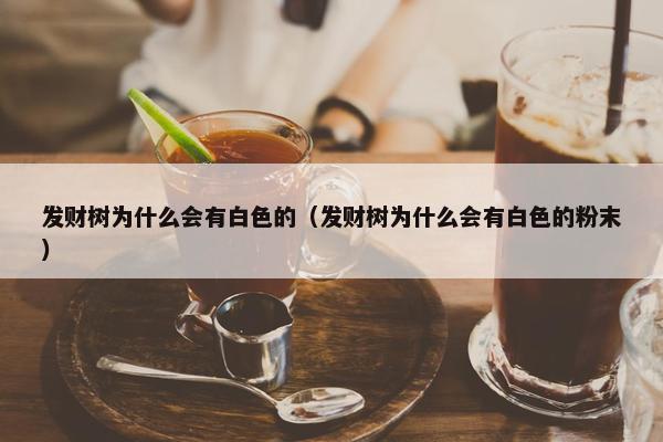 发财树为什么会有白色的（发财树为什么会有白色的粉末）