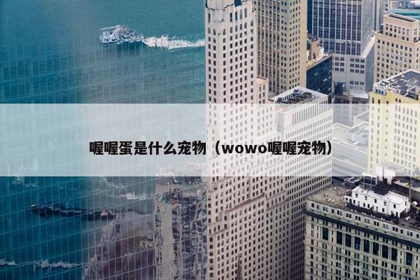 喔喔蛋是什么宠物（wowo喔喔宠物）