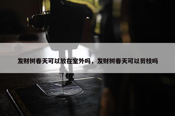 发财树春天可以放在室外吗，发财树春天可以剪枝吗