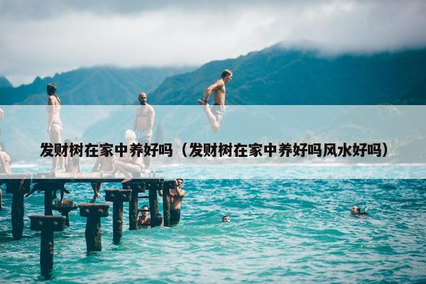 发财树在家中养好吗（发财树在家中养好吗风水好吗）