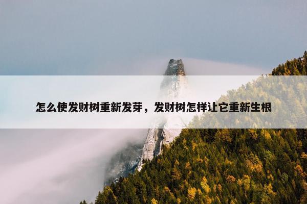 怎么使发财树重新发芽，发财树怎样让它重新生根