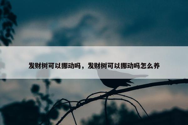 发财树可以挪动吗，发财树可以挪动吗怎么养