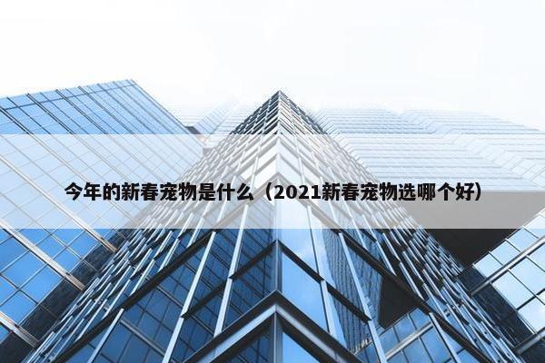 今年的新春宠物是什么（2021新春宠物选哪个好）