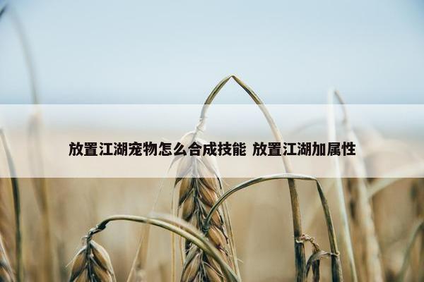 放置江湖宠物怎么合成技能 放置江湖加属性