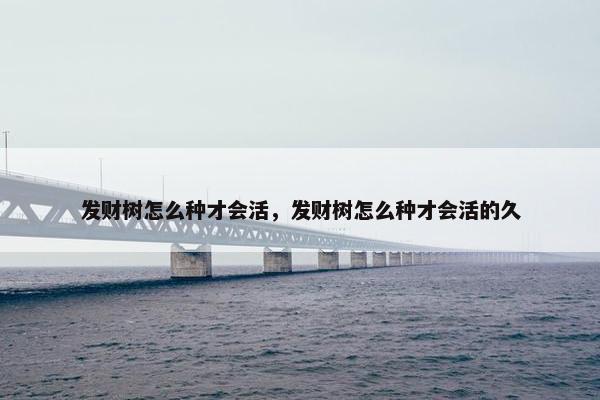 发财树怎么种才会活，发财树怎么种才会活的久