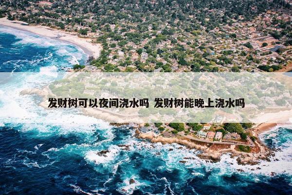 发财树可以夜间浇水吗 发财树能晚上浇水吗