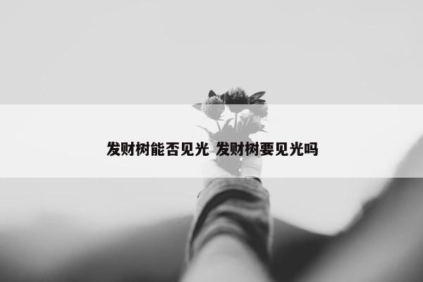 发财树能否见光 发财树要见光吗