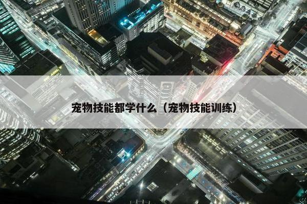 宠物技能都学什么（宠物技能训练）