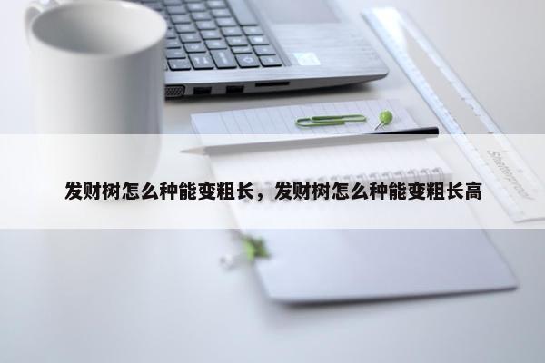 发财树怎么种能变粗长，发财树怎么种能变粗长高