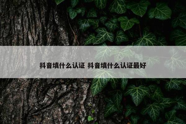 抖音填什么认证 抖音填什么认证最好