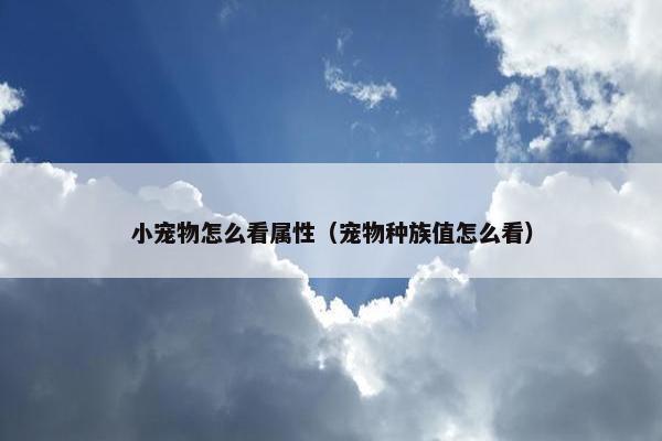 小宠物怎么看属性（宠物种族值怎么看）