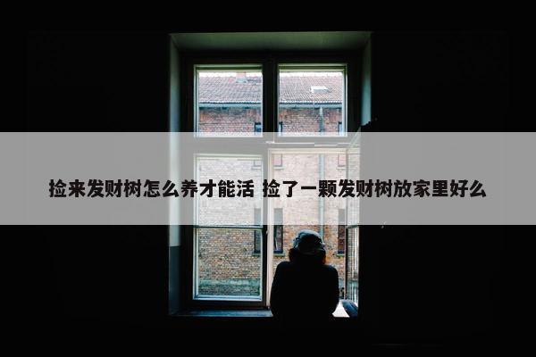 捡来发财树怎么养才能活 捡了一颗发财树放家里好么