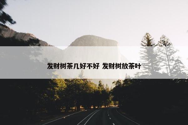 发财树茶几好不好 发财树放茶叶