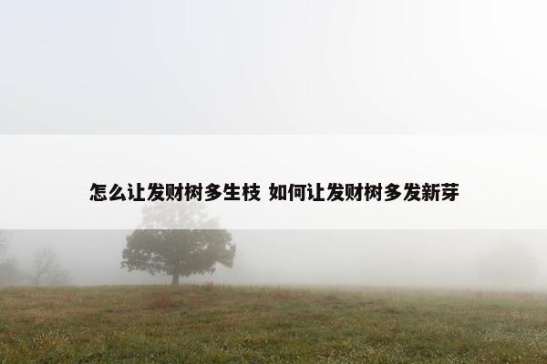 怎么让发财树多生枝 如何让发财树多发新芽