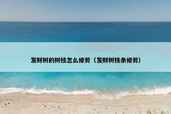 发财树的树枝怎么修剪（发财树枝条修剪）