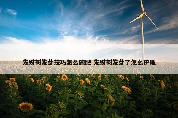 发财树发芽技巧怎么施肥 发财树发芽了怎么护理