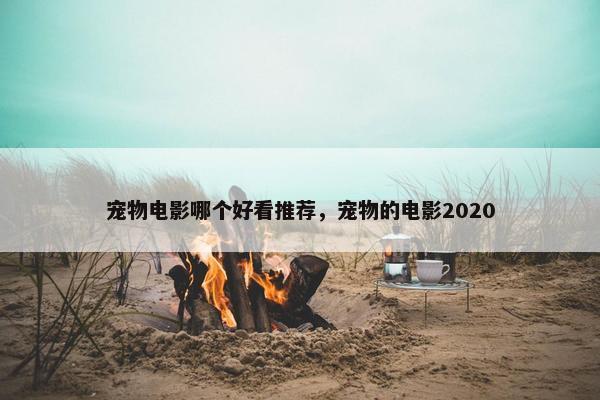 宠物电影哪个好看推荐，宠物的电影2020