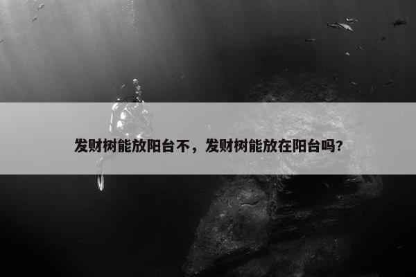 发财树能放阳台不，发财树能放在阳台吗?