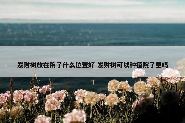 发财树放在院子什么位置好 发财树可以种植院子里吗