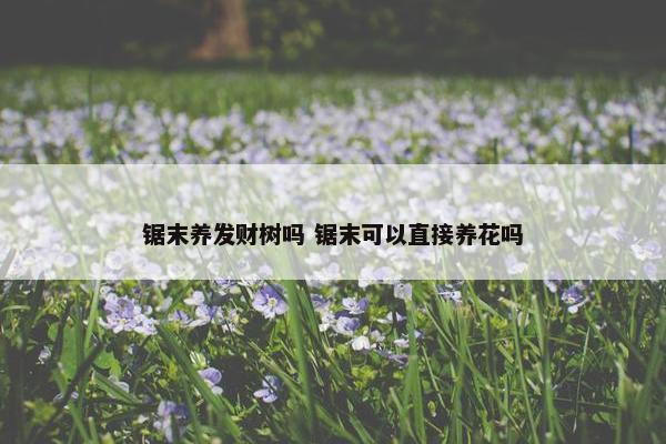 锯末养发财树吗 锯末可以直接养花吗