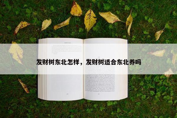 发财树东北怎样，发财树适合东北养吗