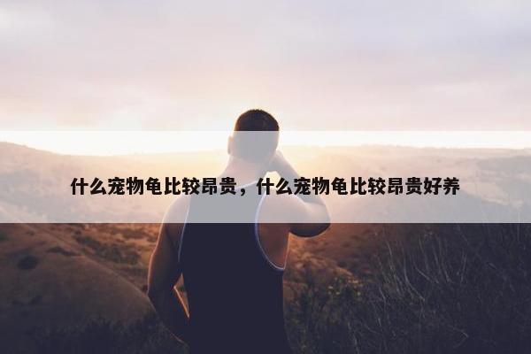 什么宠物龟比较昂贵，什么宠物龟比较昂贵好养