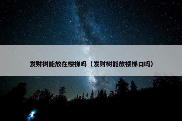 发财树能放在楼梯吗（发财树能放楼梯口吗）