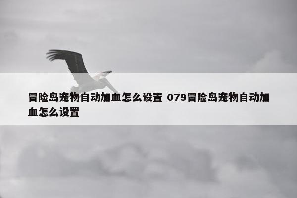 冒险岛宠物自动加血怎么设置 079冒险岛宠物自动加血怎么设置