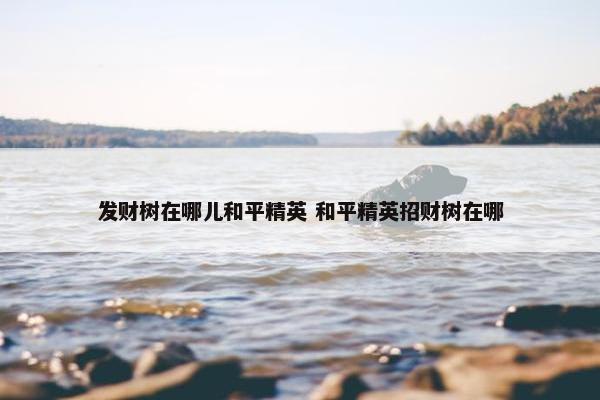 发财树在哪儿和平精英 和平精英招财树在哪