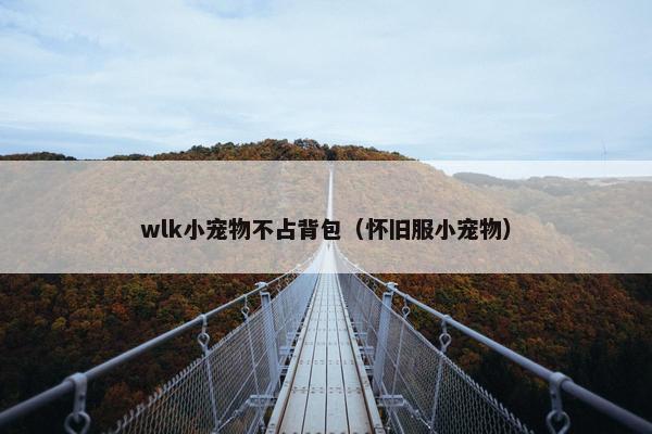 wlk小宠物不占背包（怀旧服小宠物）