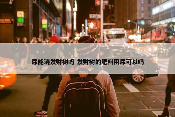 尿能浇发财树吗 发财树的肥料用尿可以吗