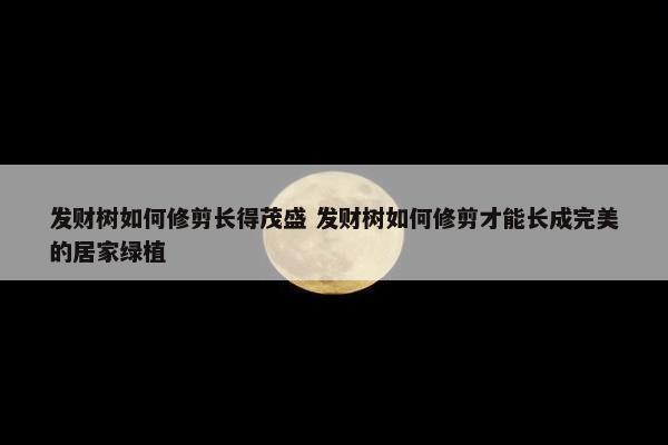 发财树如何修剪长得茂盛 发财树如何修剪才能长成完美的居家绿植