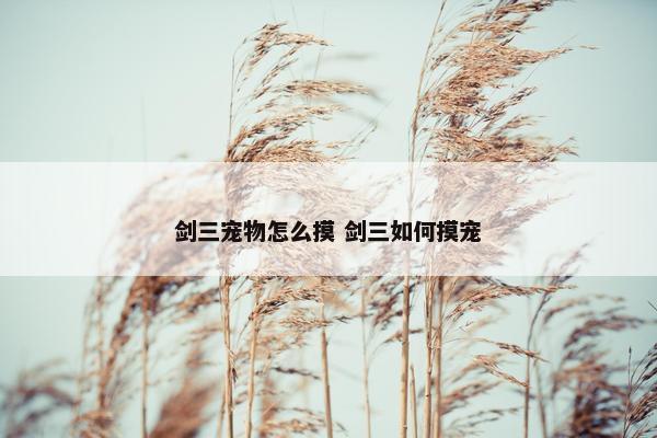 剑三宠物怎么摸 剑三如何摸宠