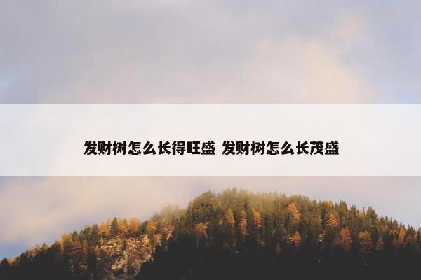 发财树怎么长得旺盛 发财树怎么长茂盛