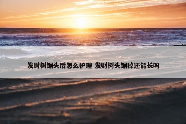 发财树锯头后怎么护理 发财树头锯掉还能长吗