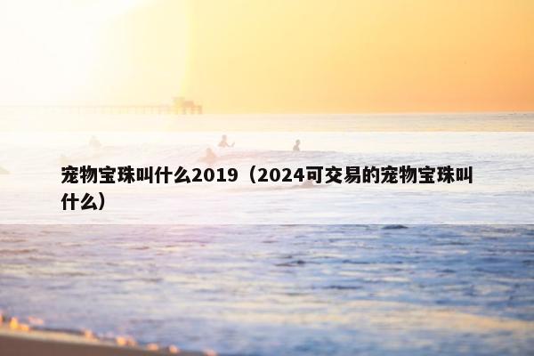 宠物宝珠叫什么2019（2024可交易的宠物宝珠叫什么）