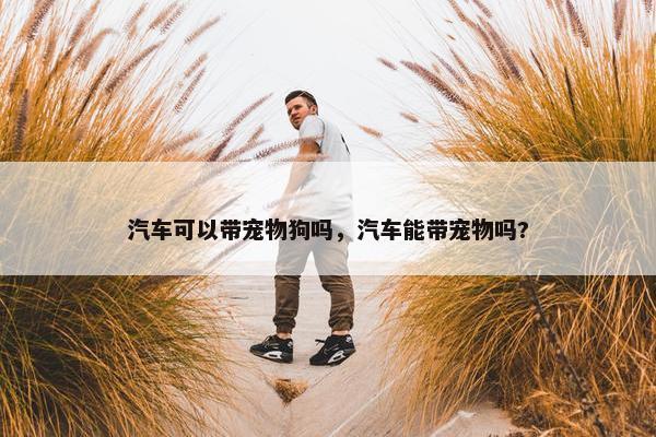 汽车可以带宠物狗吗，汽车能带宠物吗?