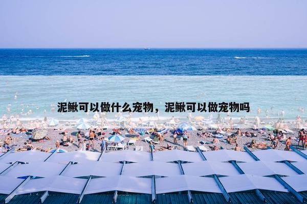 泥鳅可以做什么宠物，泥鳅可以做宠物吗