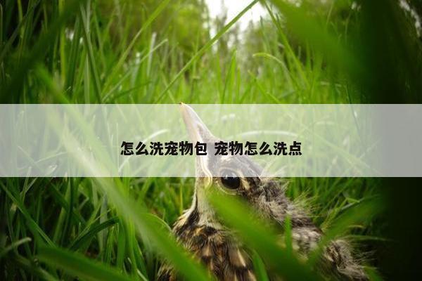 怎么洗宠物包 宠物怎么洗点