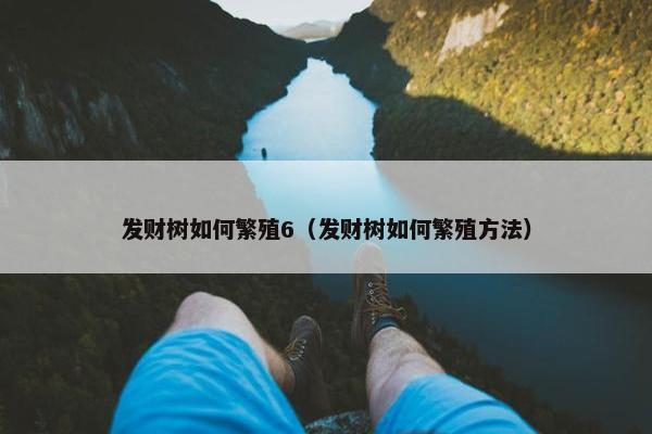 发财树如何繁殖6（发财树如何繁殖方法）