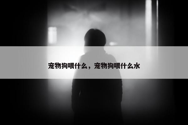 宠物狗喂什么，宠物狗喂什么水